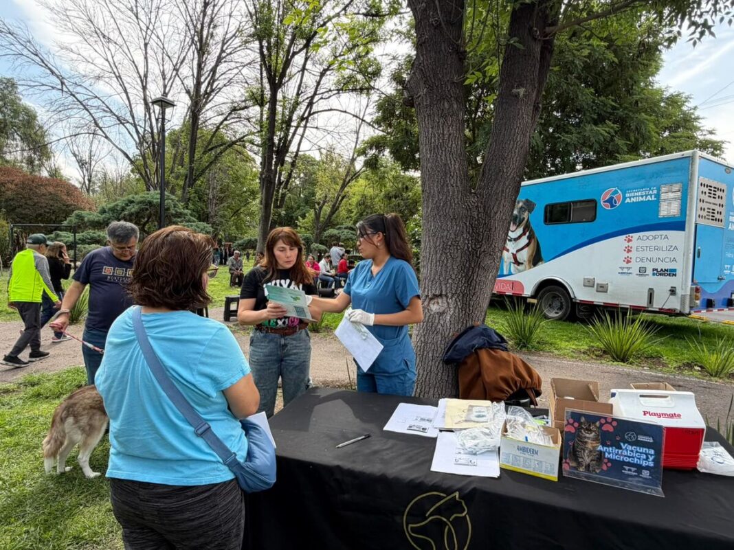 Municipio de Querétaro realiza 54 mil 275 servicios de bienestar animal