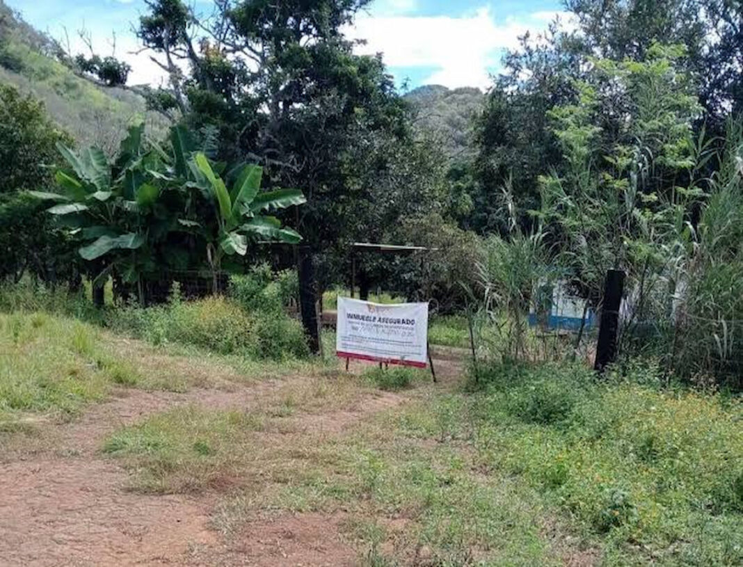 Fiscalía de Nayarit investiga presunto centro de exterminio en Xalisco