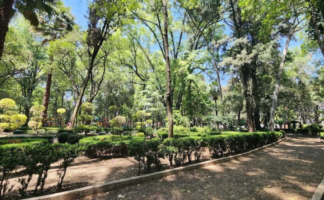 Alcaldía Cuauhtémoc entrega a la Fiscalía pruebas del envenenamiento de perros en Parque España
