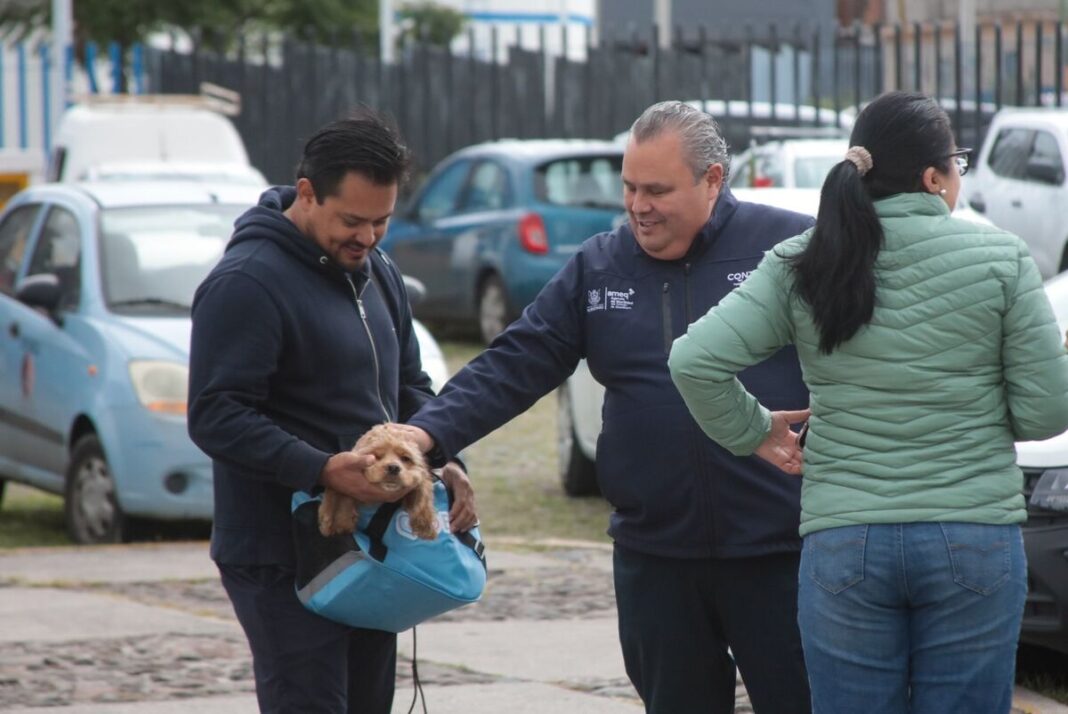 AMEQ entrega más de 300 tarjetas Qrobus para mascotas en Querétaro