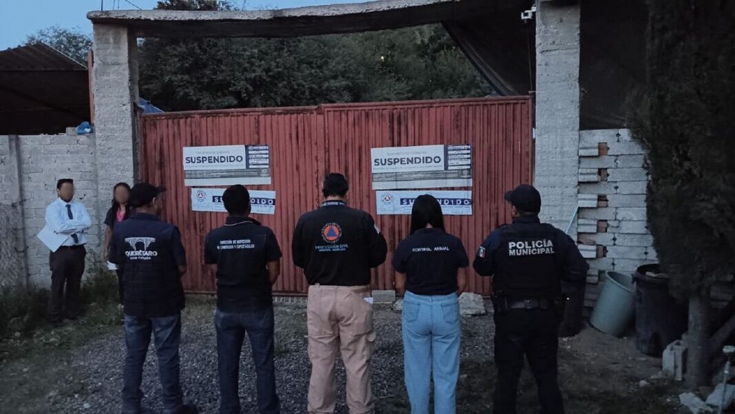 Aseguran 28 perros y suspenden pensión en Juriquilla