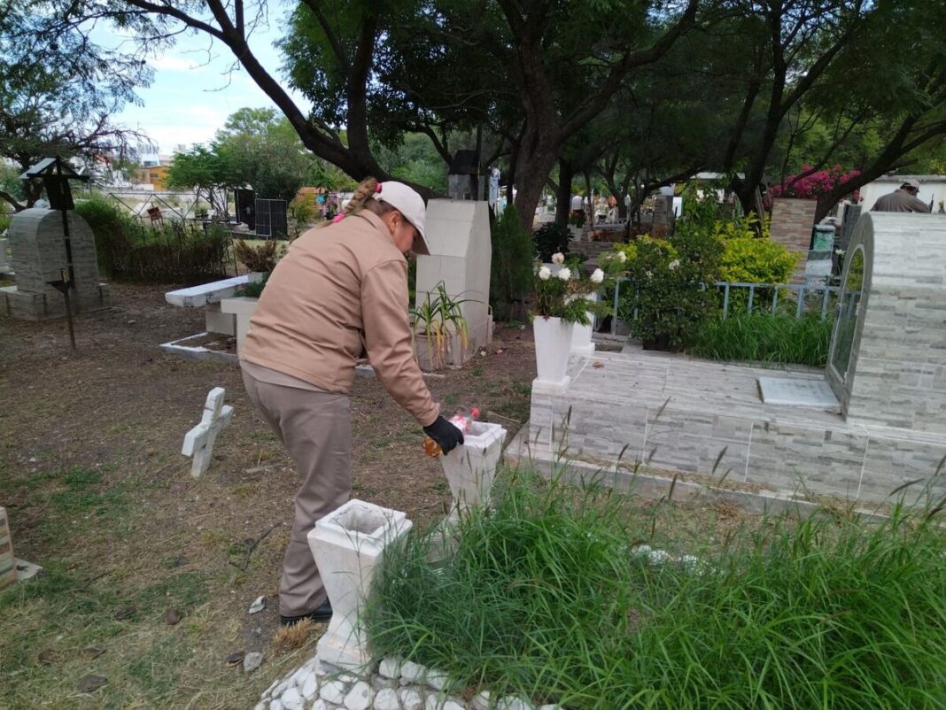 Brigadas de SESA intensifican control de dengue en panteones de Querétaro