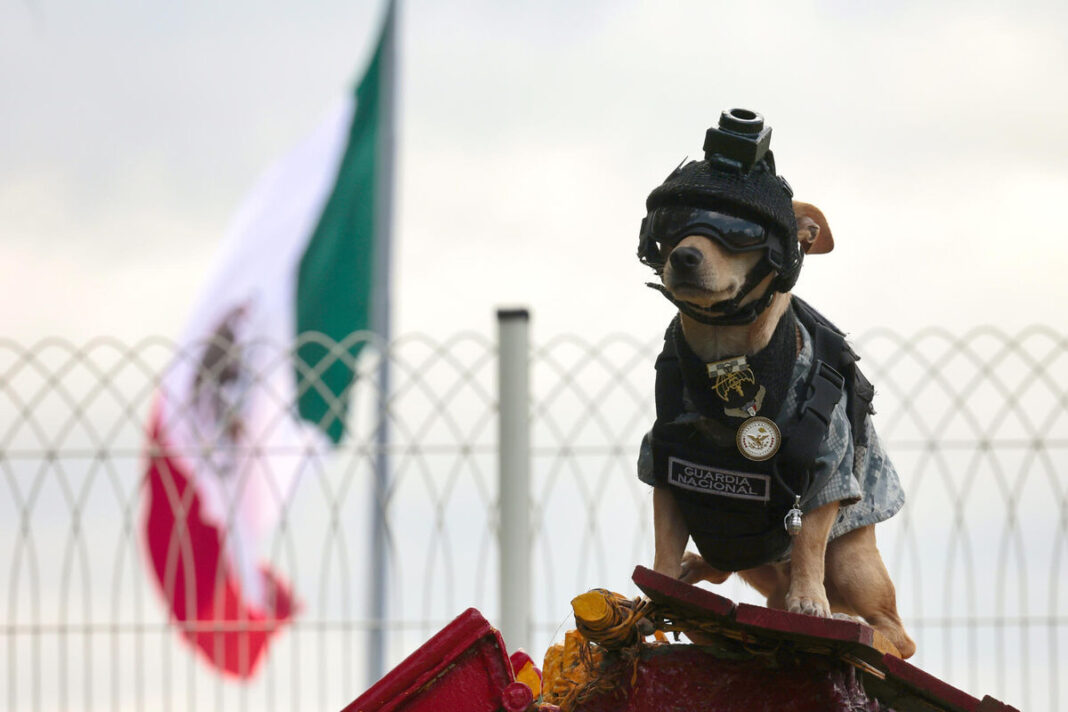 Comando Chihuahua se integra a tareas de proximidad de la Guardia Nacional